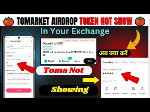 Tomarket Walay Scam Kr Gaye 😨 || $TOMA Not Recived 🤬|| $TOMA token Withdrawal |- Tomarket Airdrop