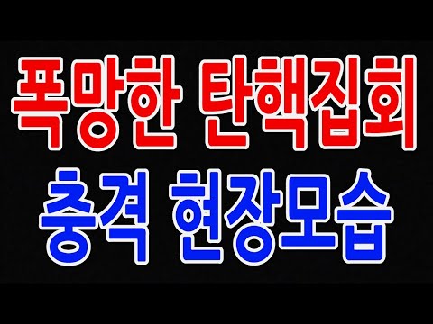 폭망 탄핵 집회 충격 현장모습