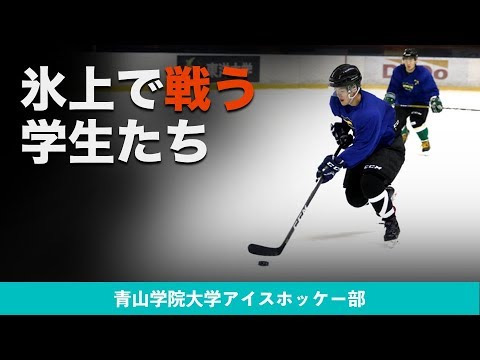 【アイスホッケー】氷上で戦う学生たち｜青山学院大学アイスホッケー部