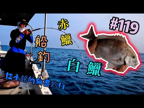 杜小銘的無盡釣行#119_#釣魚 #香港釣魚 #釣り #艇釣 #船釣 #雞魚 #白鱲 #誘餌籠 #搖籠 #五目釣り #伊佐木 #赤鱲 #真鯛  #鱲魚 #黃腳鱲  #外海  #爆釣 #黑沙 #黃鱲䱽