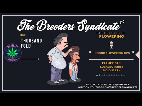 Indoor Growing Roundtable: Pre-flowering and flowering stages ft Farmer Dan, Local and BigErn S09E13