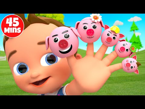 Pig Finger Family Song Baby Nursery Rhymes colorful cars colors for kids  45 mins collection video