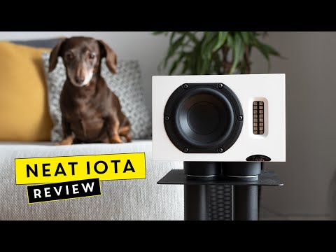 Neat Iota Speaker Review - Big sound in a small package!