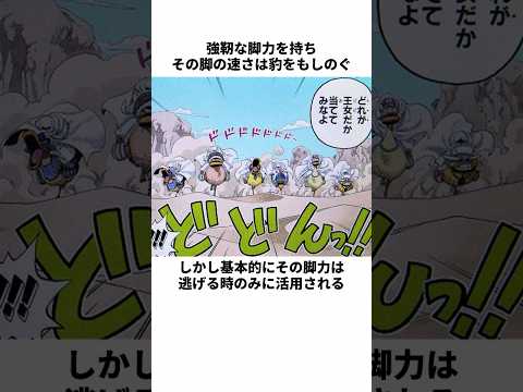 超可愛い❤︎超カルガモ部隊に関する面白い雑学　#ワンピース