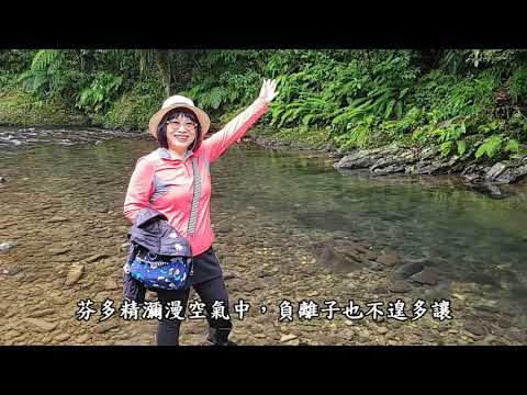 金瓜寮溪魚蕨步道