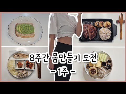 [ENG SUB][8주간 몸만들기 도전 1주] 나도 복근 한번 만들어보자!! 다이어트 브이로그, Diet Vlog