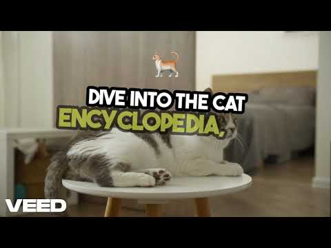 The Cat Encyclopedia: The Definitive Visual Guide