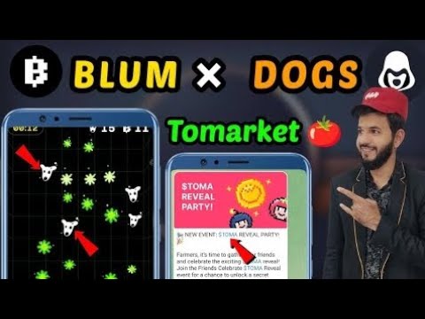 Blum & Dogs New updates | Blum BP Points | Tomarket 🍅 Mystery gifts new update | Major new game