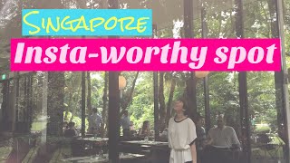 【新加坡Singapore旅遊Vlog】 文青一日游之拍照叹咖啡小逛街扮哈利波特样样齐 ♡ Angeline 黄玉丽 ♡