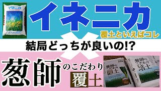 【結論出ました】両方使った結果。ガッチリとした苗に仕上げるにはどちらが良いのか！？