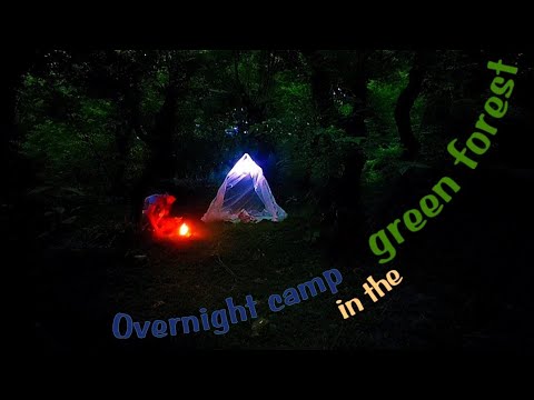 Overnight camp in the green forest.#overnight #camp #adventure #bushcraft #jungle #green #outdoor