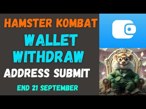 Hamster withdraw in Wallet | Hamster withdraw in Tonkeper | Hamster Withdraw Update