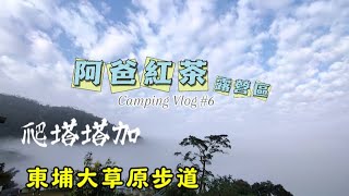 親子露營Camping Vlog No.6 二次露阿爸紅茶露營區 爬塔塔加東埔大草原步道 玉山登山口大鐵杉步道