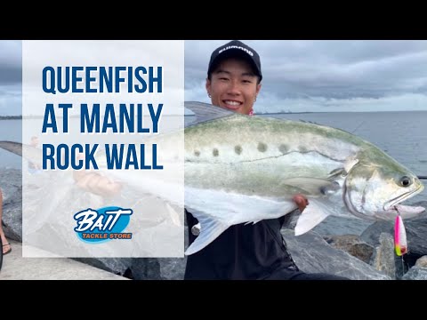 Bait Tackle Store: Queenfish at Manly Rock Wall