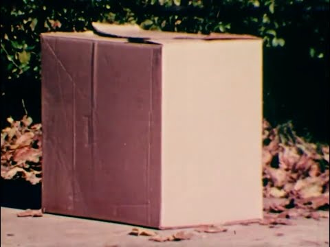 Tommy, Suzie And The Cardboard Box (1972)