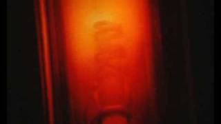 EXPERIMENTAL film - lamp collection.flv