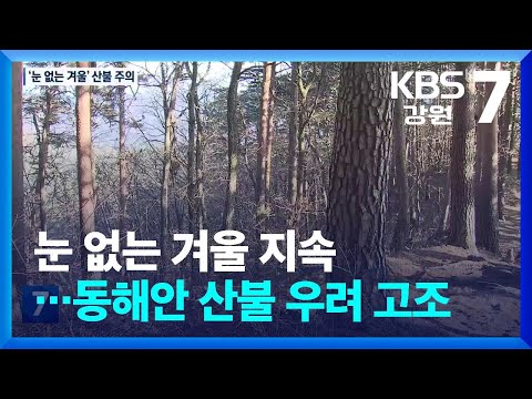 눈 없는 겨울 지속…동해안 산불 우려 고조 / KBS  2025.01.02.