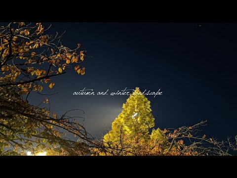 秋から冬の風景や動物たち(環境音)　Scenery and animals from autumn to winter(environmental sound)