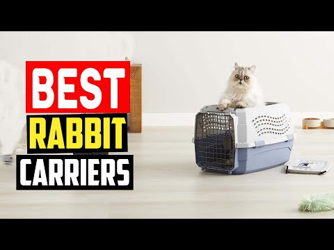 ✅Best Rabbit Carriers in 2023