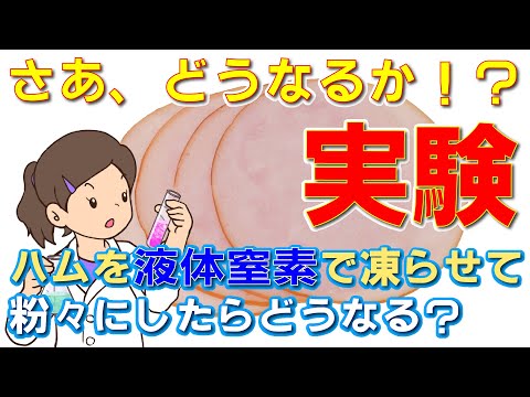 ハムを液体窒素で凍らせて粉砕してみました！さて、どうなったでしょうか？