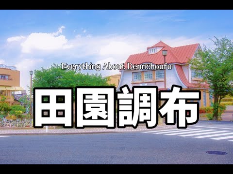 大田區田園調布｜關於居住在田園調布的生活體驗｜優勢與劣勢｜日本富人區｜日本別墅｜水果籃子｜日本生活｜日本租房｜日本房産