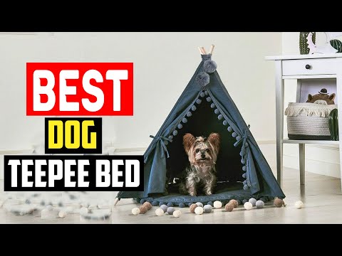 ✅ Top 5  Best Dog Teepee Bed in 2024