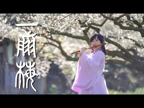 《一翦梅》xue hua piao piao｜竹笛演奏 Bamboo Flute (Dizi) cover｜電視劇《一剪梅》片頭曲 Yi Jian Mei OST