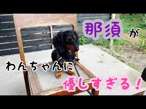 【初旅行】那須がわんちゃんに優しすぎる街だった！