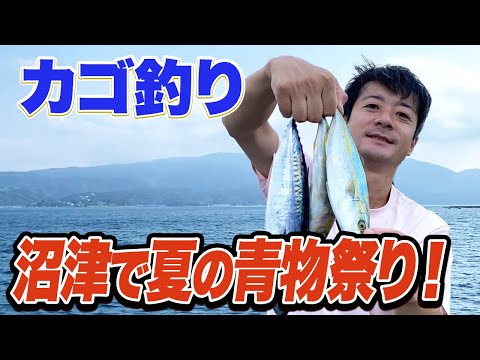 【沼津カゴ釣り】いま西伊豆で遠投カゴ釣りをしたら必ず青物が釣れる！