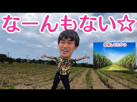 「さとうきび」目当てで沖縄に飛行機代20万円払って来てみたら無かった☆