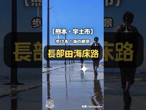 【熊本・宇土市】歩ける！海の絶景「長部田海床路」 #shorts #熊本 #宇土市 #絶景 #長部田海床路 #観光 #九州 #有明海 #住吉海岸公園 #夕焼け #雲仙普賢岳