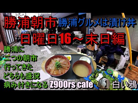 勝浦朝市16日～末　日曜日の様子