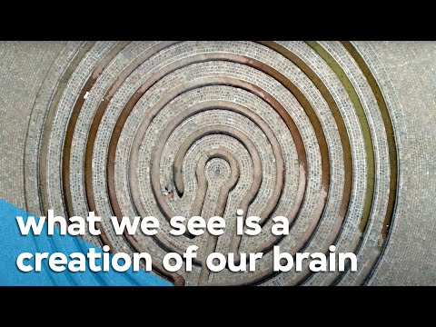 Our brain is a prediction machine (Big Questions 1/8) | VPRO Documentary