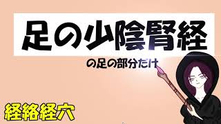 足の少陰腎経【鍼灸国家試験対策】経穴