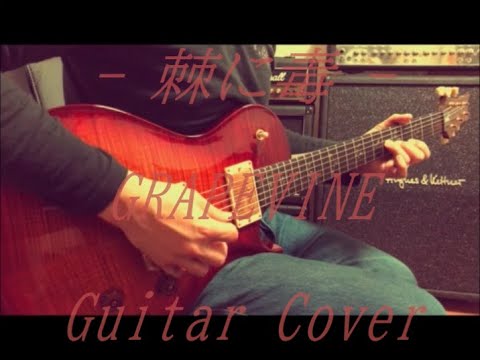 GRAPEVINE  -  棘に毒 - Guitar Cover