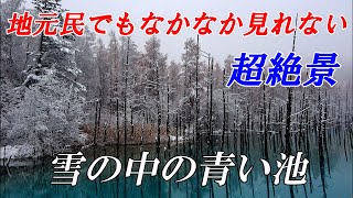 これぞ神秘の景色！！雪の中の青い池【北海道　美瑛】