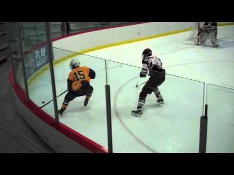 saline vs southgate hockey the hits