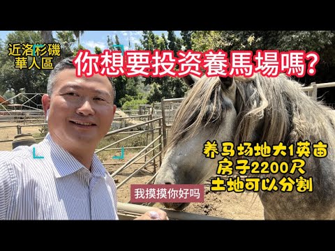 你想要養馬場嗎？屋主急售地大一個英苗的養馬場，房子2200尺，三房二浴；有鄰居己建大獨立屋加花園，有鄰居分割土地建多棟！|美國看房二十年｜看房日記｜投資土地｜土地分割｜土地開發｜