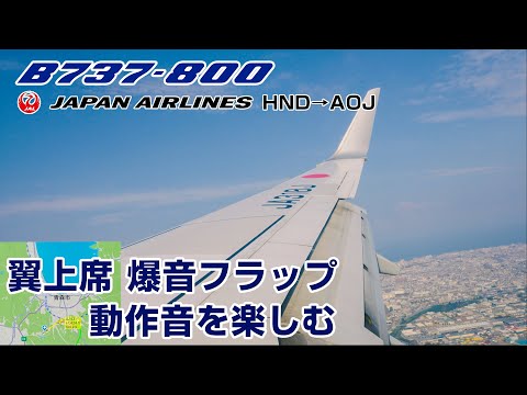 3D Sound] Enjoy the sound of mechanical operation Flight on the wing seat B737-846 HND-AOJ JL143