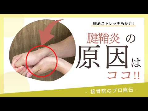 【手指の痛み〜腱鞘炎〜】朝になると指がこわばって痛い。手を使っていると次第に手指が痛くなってくる。そんな方へのストレッチ！｜接骨院のプロが教えるお家セルフケア｜テラピスト接骨院