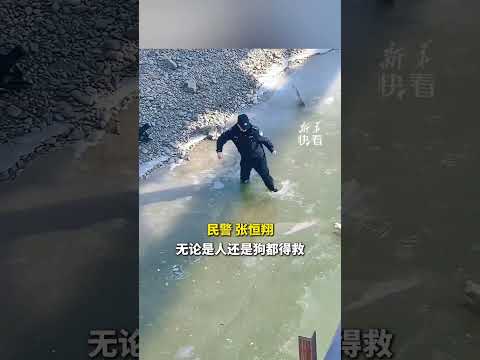 狗狗掉入冰窟不断挣扎，民警破冰前行成功救助被困小狗，“作为民警，要守护好每个生命”