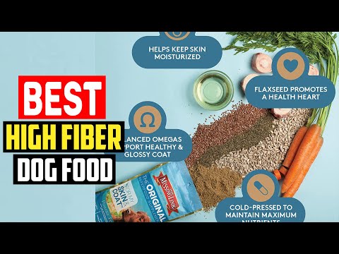 ✅Top 5 Best High Fiber Dog Food in 2023