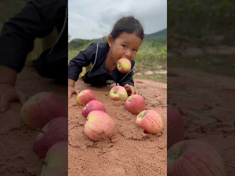 Survival Skills: Single mom with a lot of apple fruit in forest #survival #camping #bushcraft