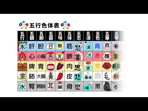 【東洋医学入門】五行色体表とは？！