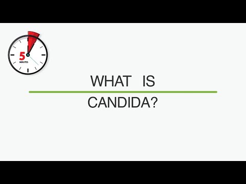 Candida | Instant Info