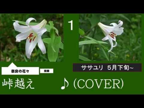 峠越え　３　福田こうへい　♪（COVER