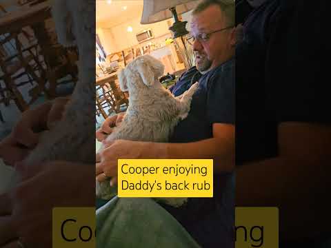 Dog enjoying back rub #dog #doglover #cooper #relaxing