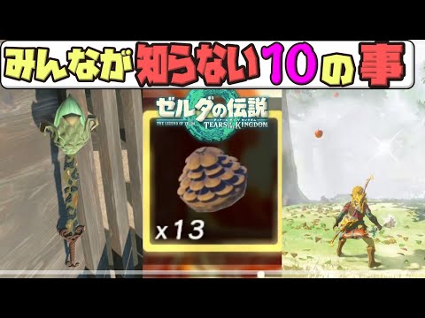 みんながまだ知らない10コの事【ティアキン】【TotK】