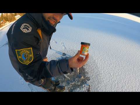 EARLY Ice! Tons of RAINBOW Trout!