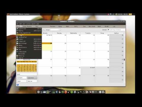 How to sync. your Evolution and Gmail calendars #63